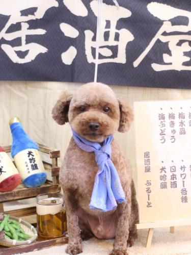 20240604くぅくん